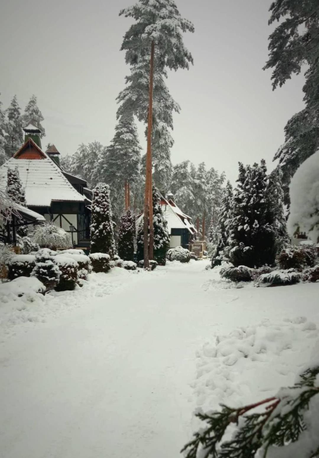 Matija Lux Konaci Daire Zlatibor Dış mekan fotoğraf