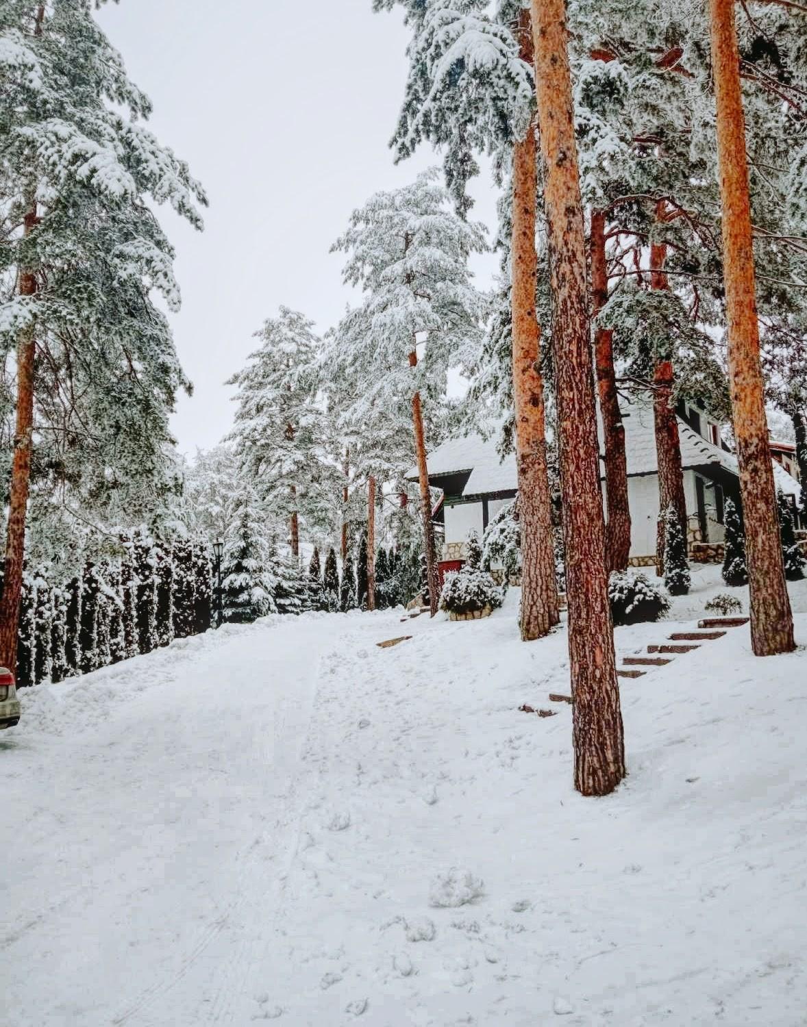 Matija Lux Konaci Daire Zlatibor Dış mekan fotoğraf