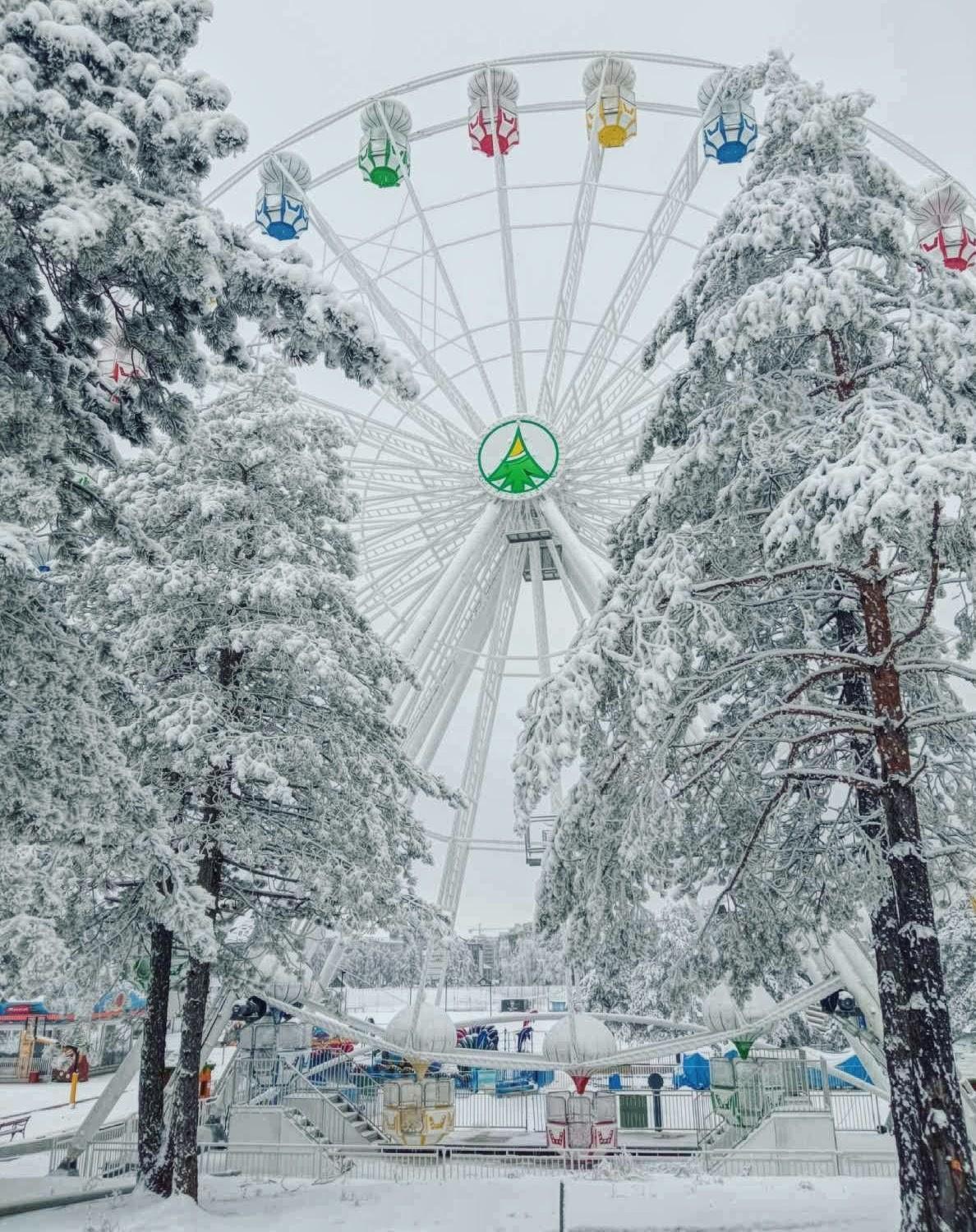 Matija Lux Konaci Daire Zlatibor Dış mekan fotoğraf