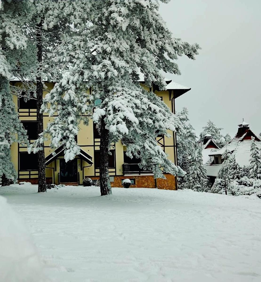 Matija Lux Konaci Daire Zlatibor Dış mekan fotoğraf